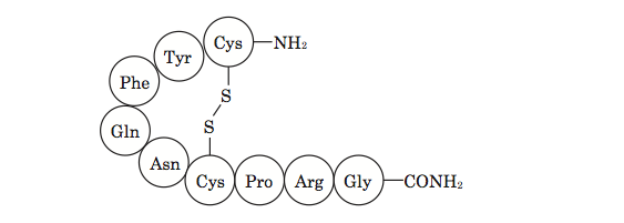 分解 エドマン タンパク質のN末端アミノ酸決定法 (サンガー法・ダンシル法・エドマン法)